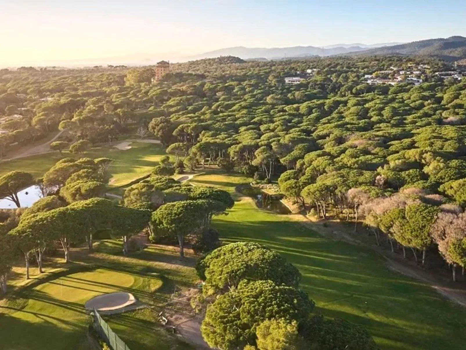 Dolce Vita da Elena-Image-tags.info