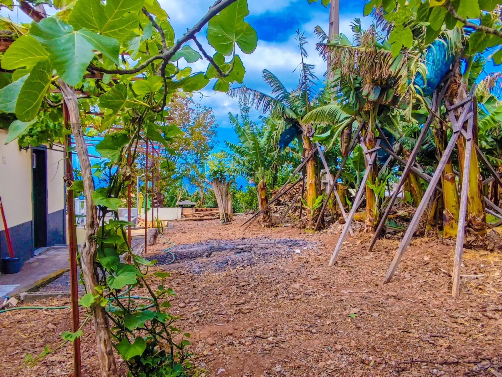 Typische Bauernhof-Wohnung-Image-tags.info