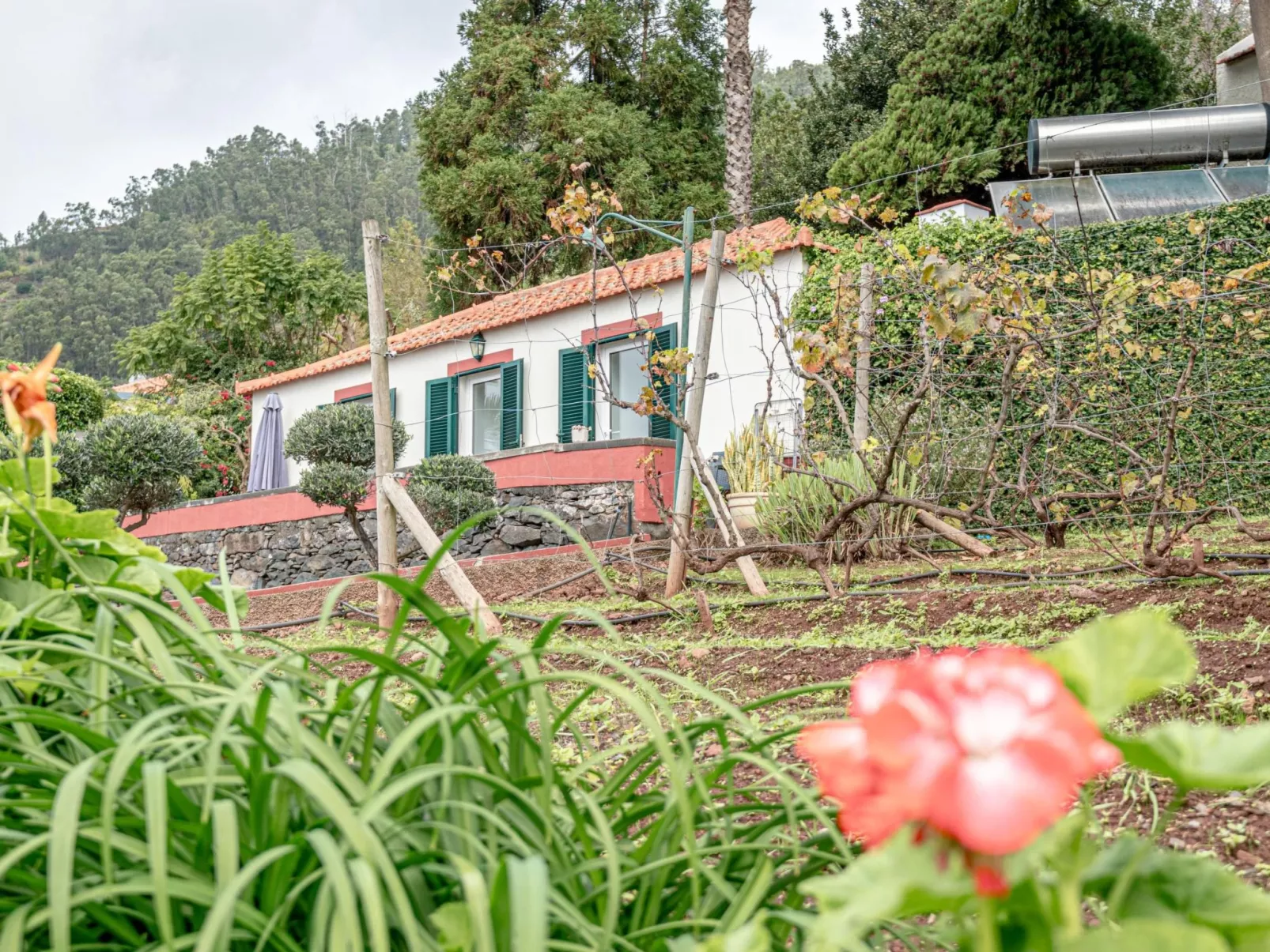 Historische Quinta Vista Mar in Arco A-Image-tags.info