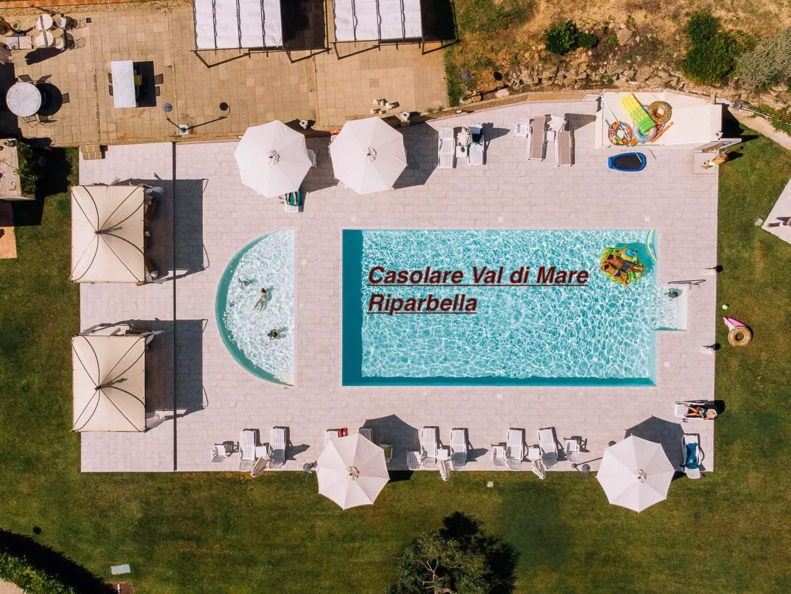 'Calla-Image-tags.info