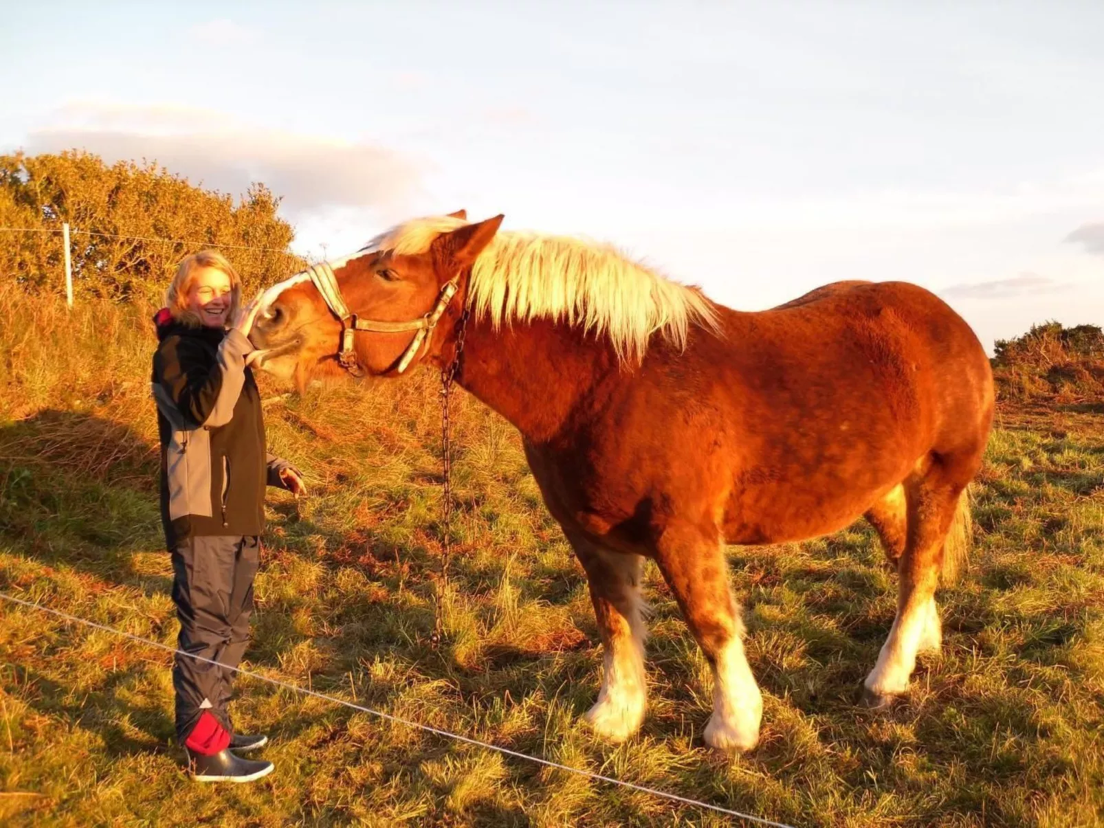 Küstennahes, bretonisches Ferienhaus mit Kamin-Outside