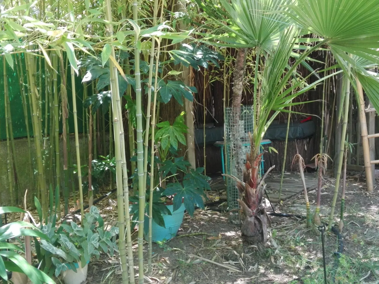 In Méditerranée mit Grill, Garten und Terrasse-Draußen