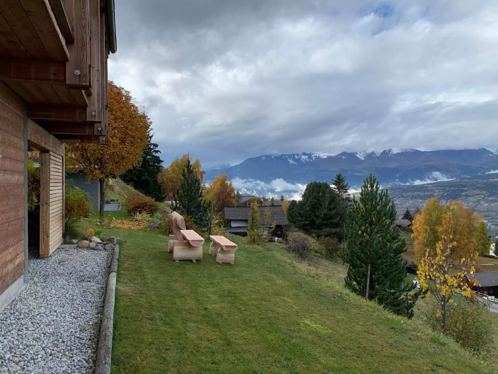 Blue Merle-Image-tags.info