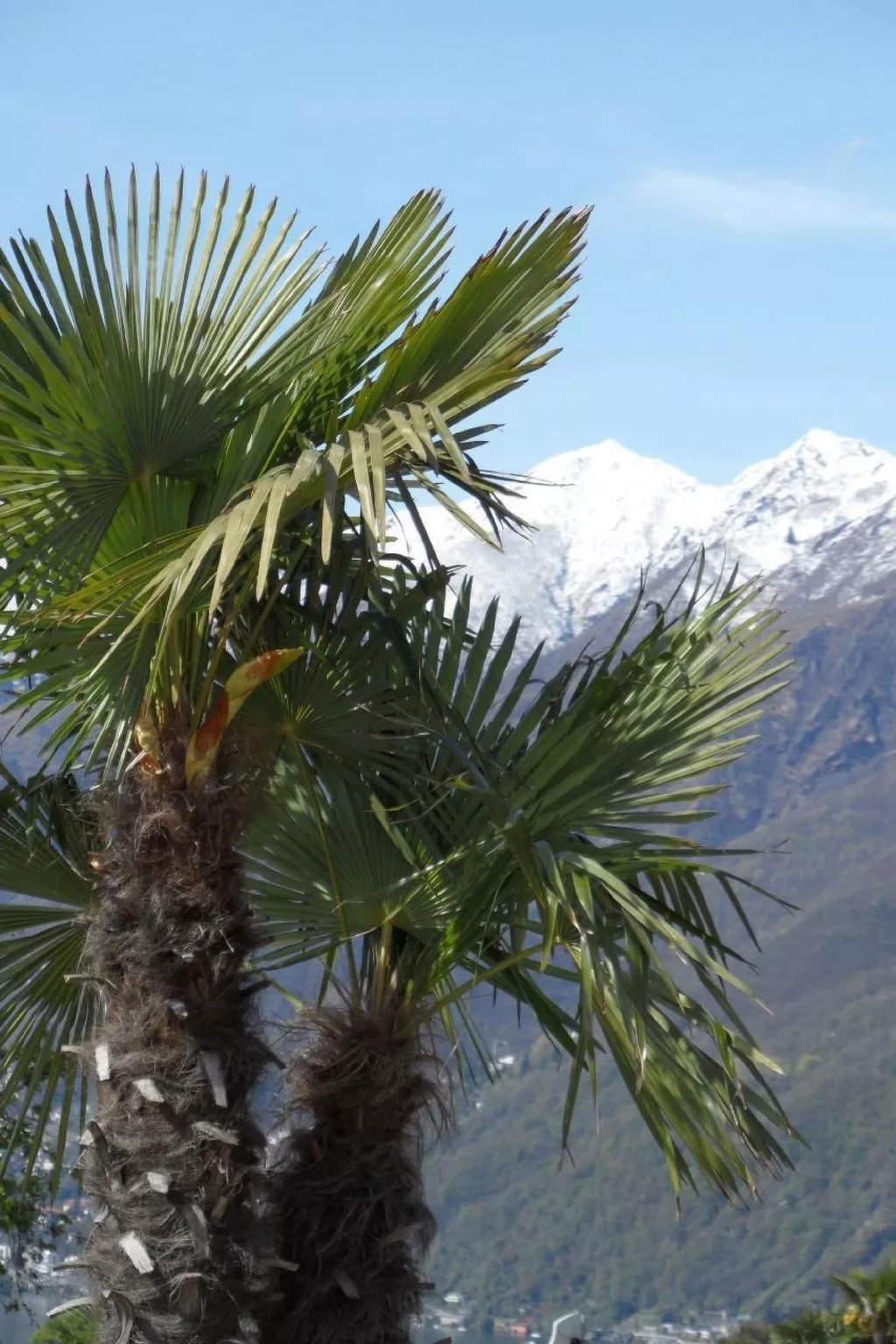 Casa Rocca Bella C-Dehors