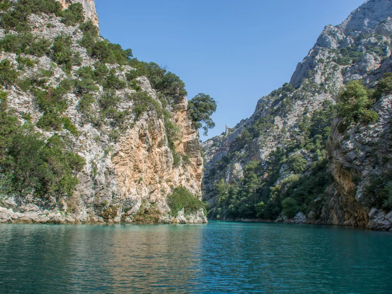 Les amandiers-Dehors