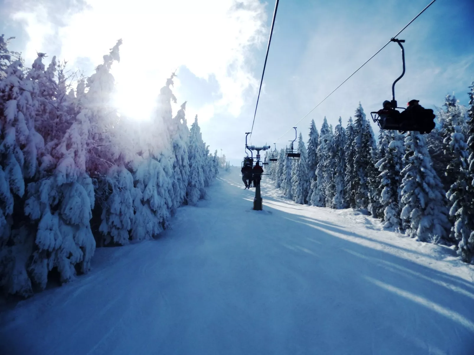 FeWo Steinbeisser-Area