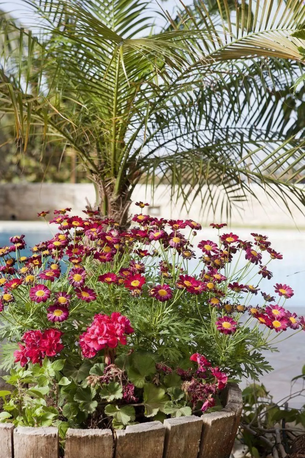 Pandora Piskopiano - Outside