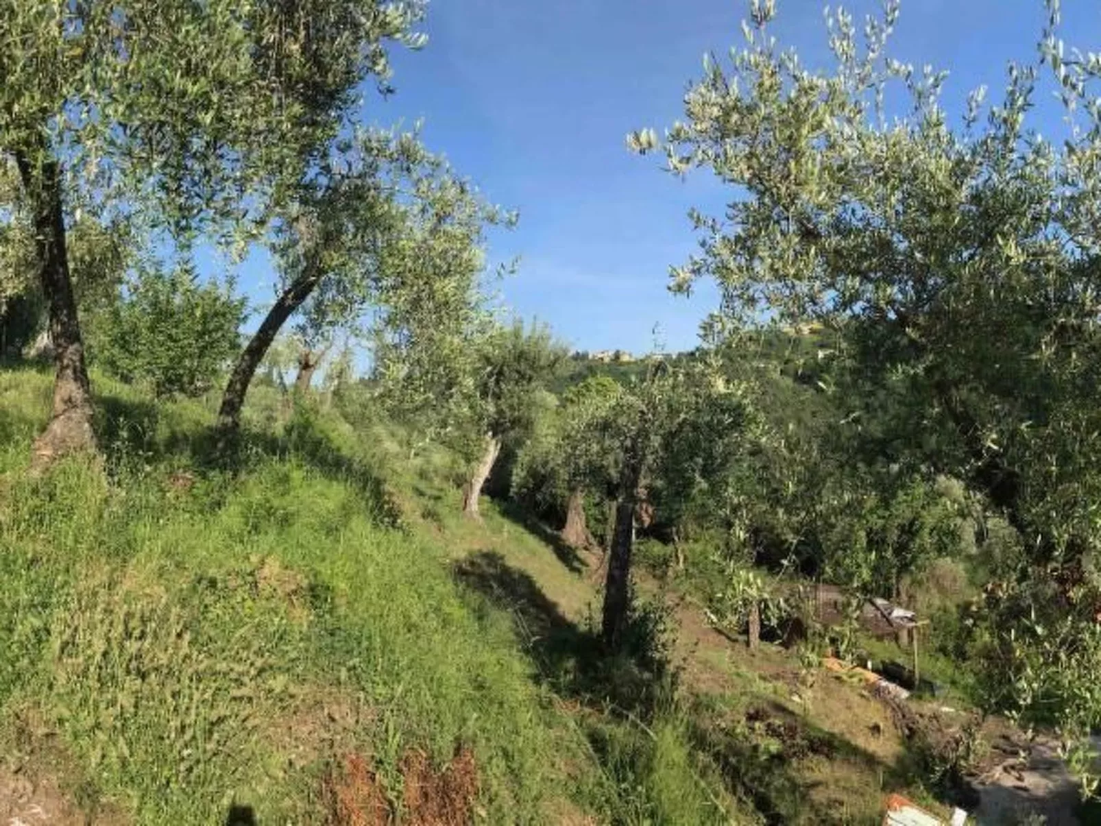 Artist's hill-Draußen