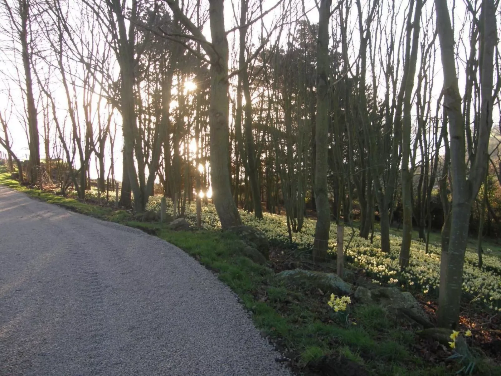 "Tromeal Lasalle" blick auf das Meer. Mit 4 Sternen klassifiziert-Outside