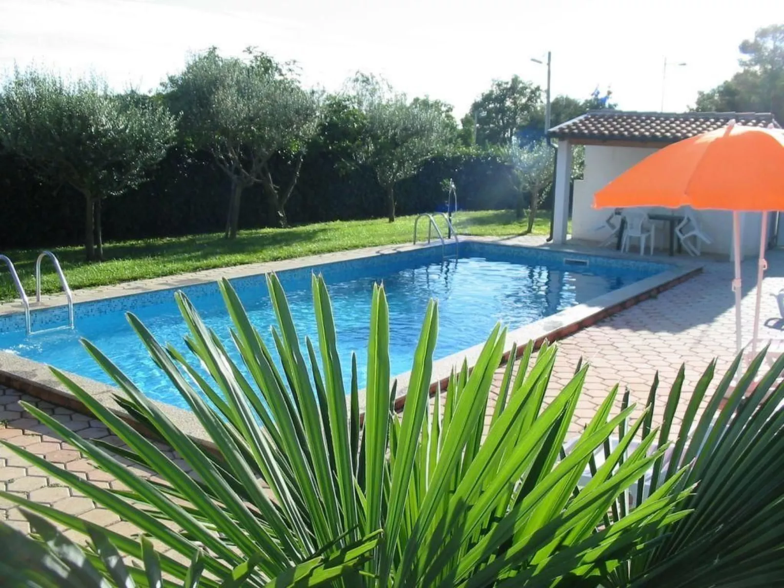 Melisa 6-Image-tags.info