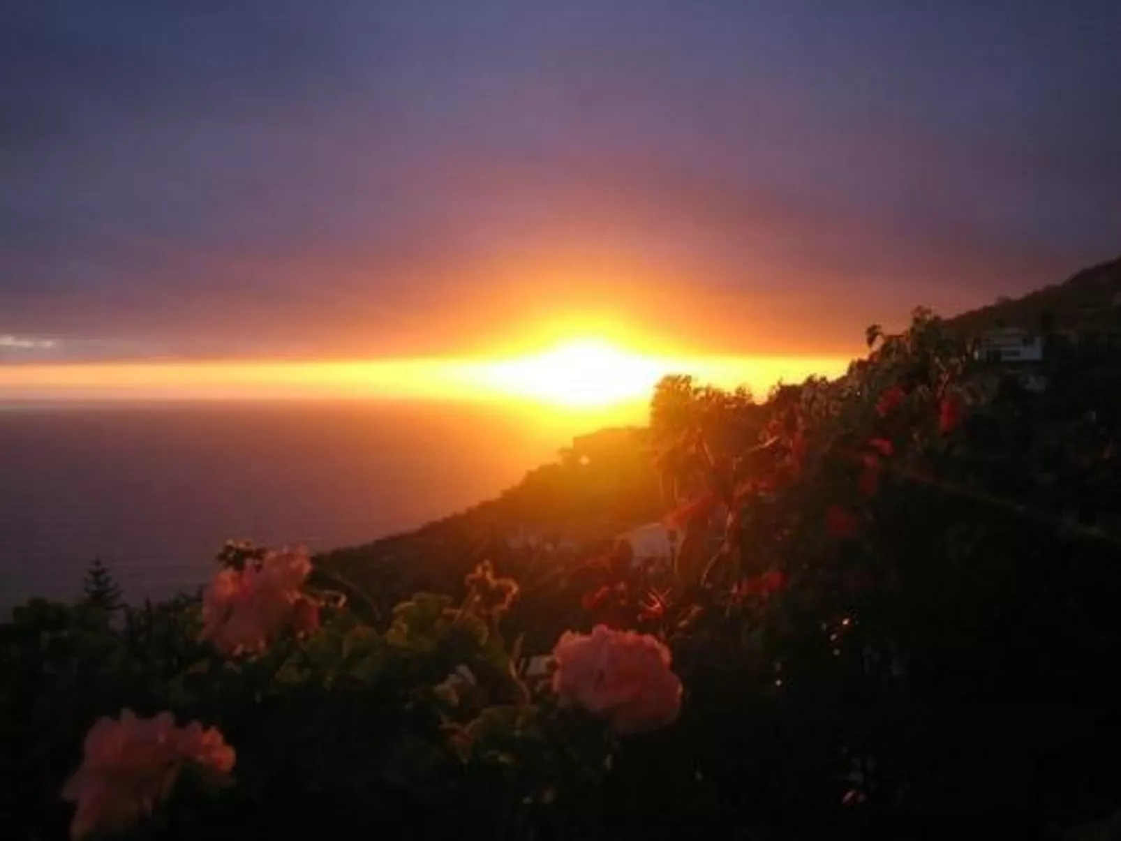 Geräumige Wohnung mit Panoramablick-Image-tags.info