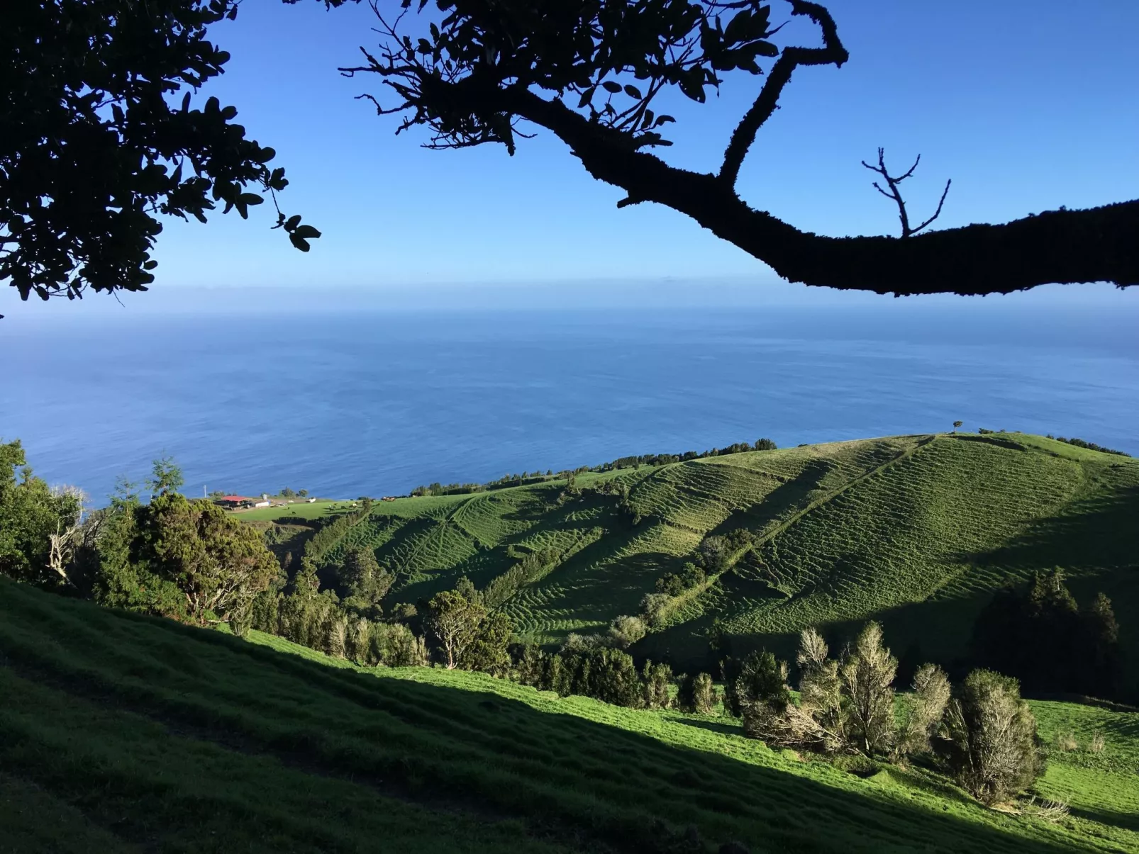 Casabelavista III-Image-tags.info