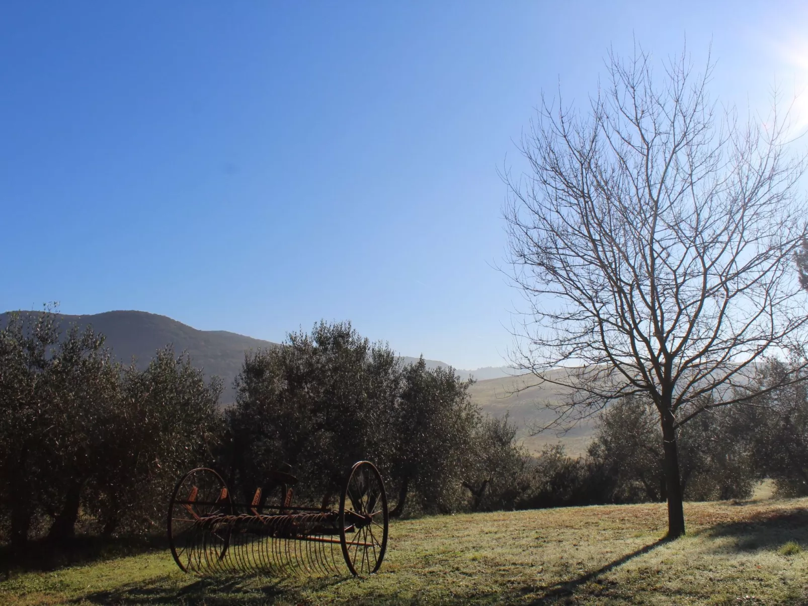 'Den Haag' mit eigenem Pool-Outside