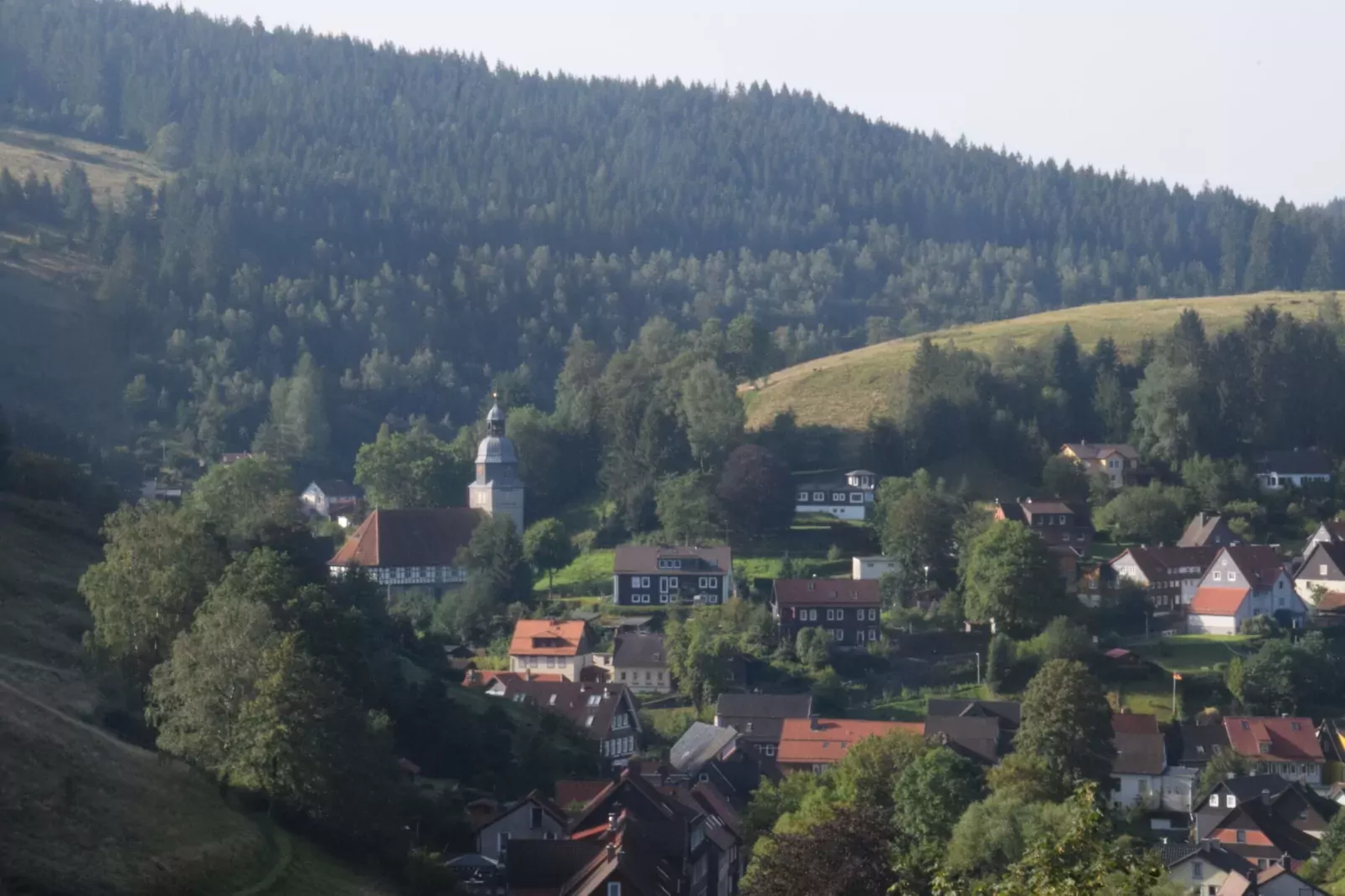 Ferienwohnung Sonne in Harz-Areas summer 1km