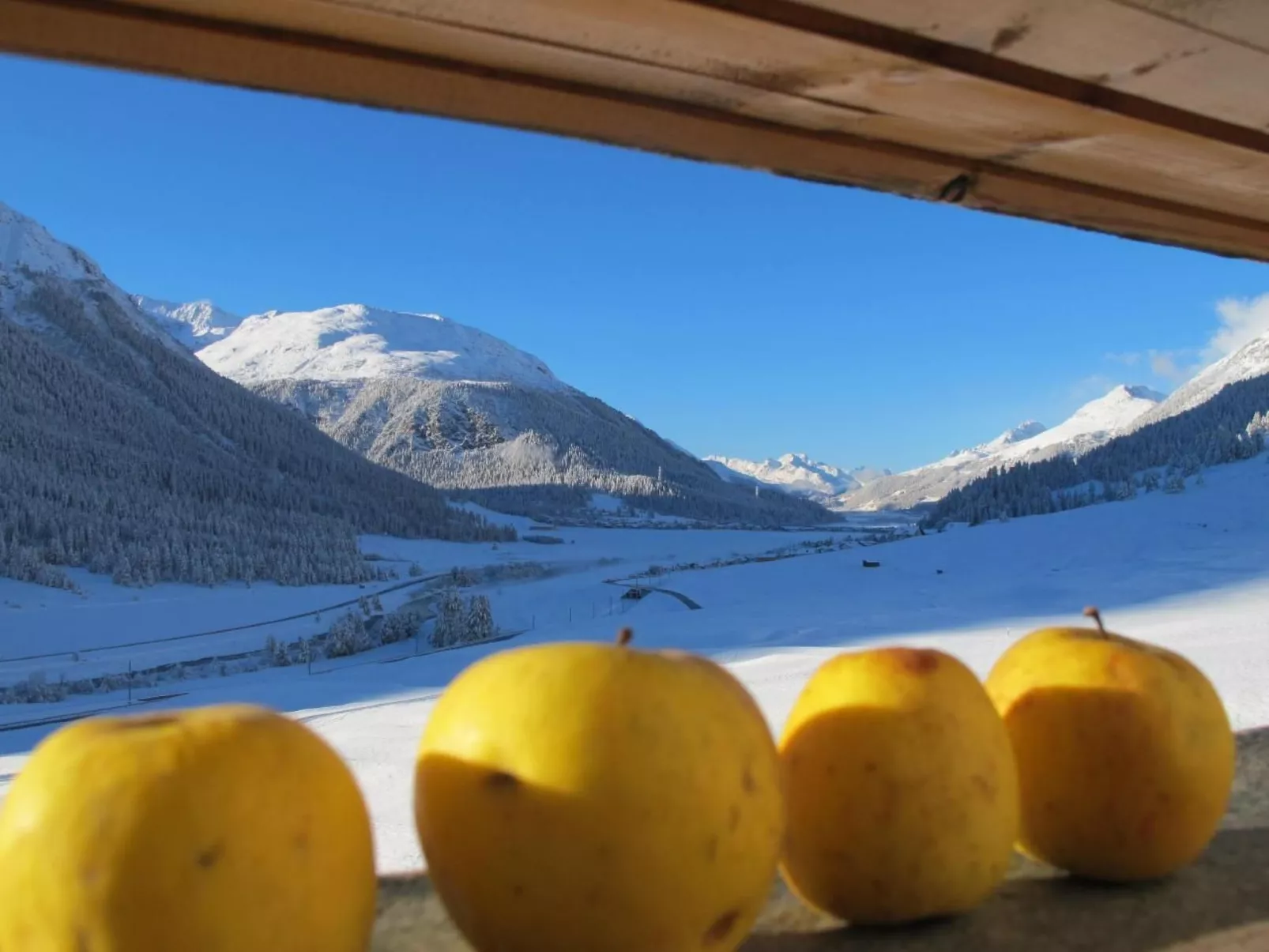 Chesa Larschigna-Image-tags.info