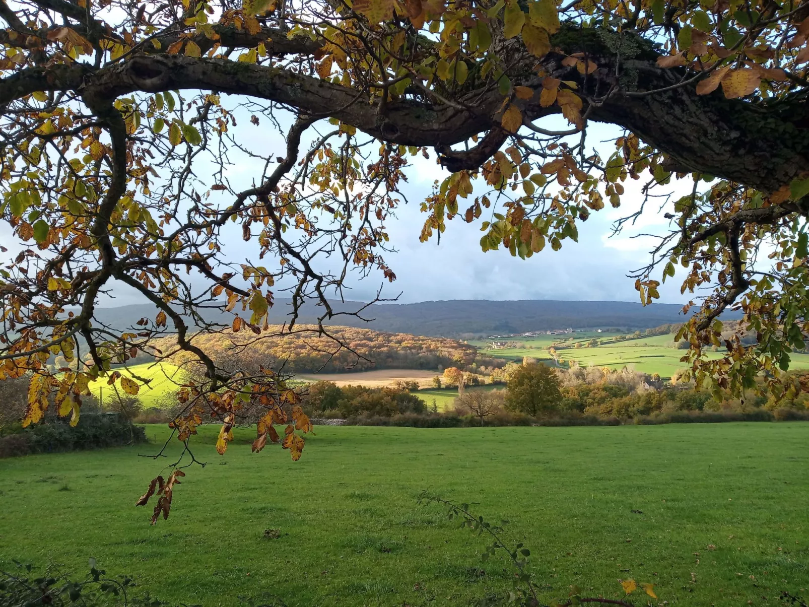 An der Weinstraße von Burgund-Draußen