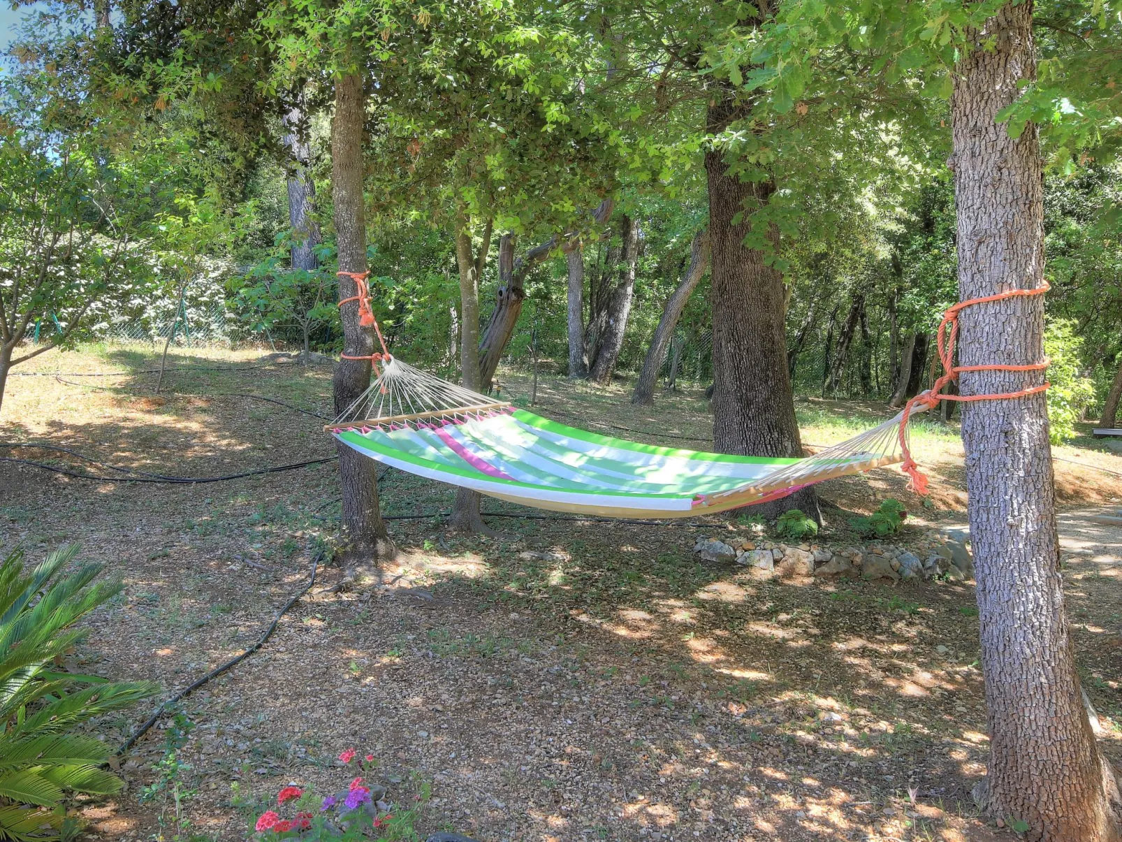 Villa Bois Dore in Valbonne-Outside