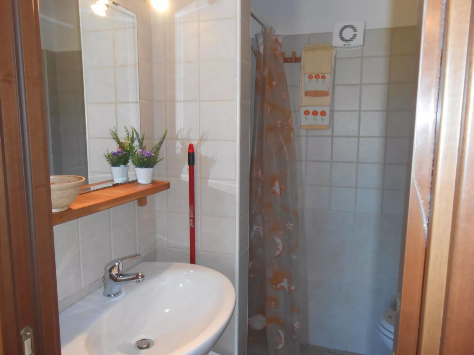 VIOLA-Image-tags.info