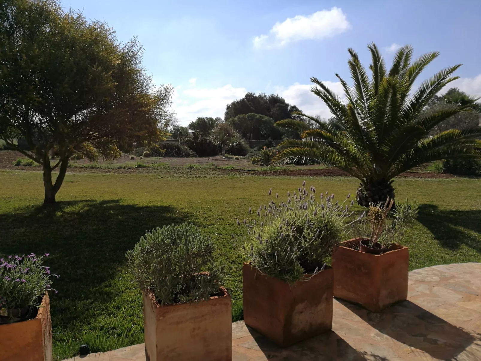 Finca Alegria-Outside