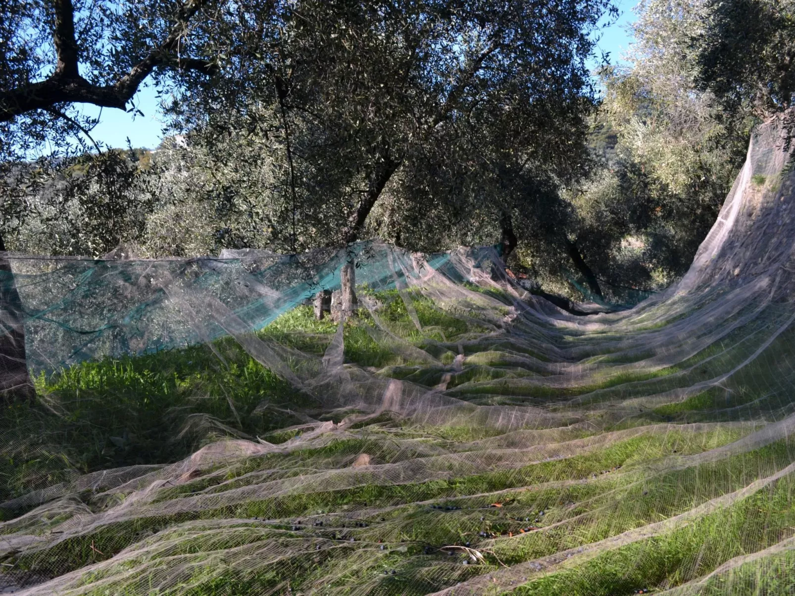 Charmantes Appartment in Diano San Pietro-Dehors