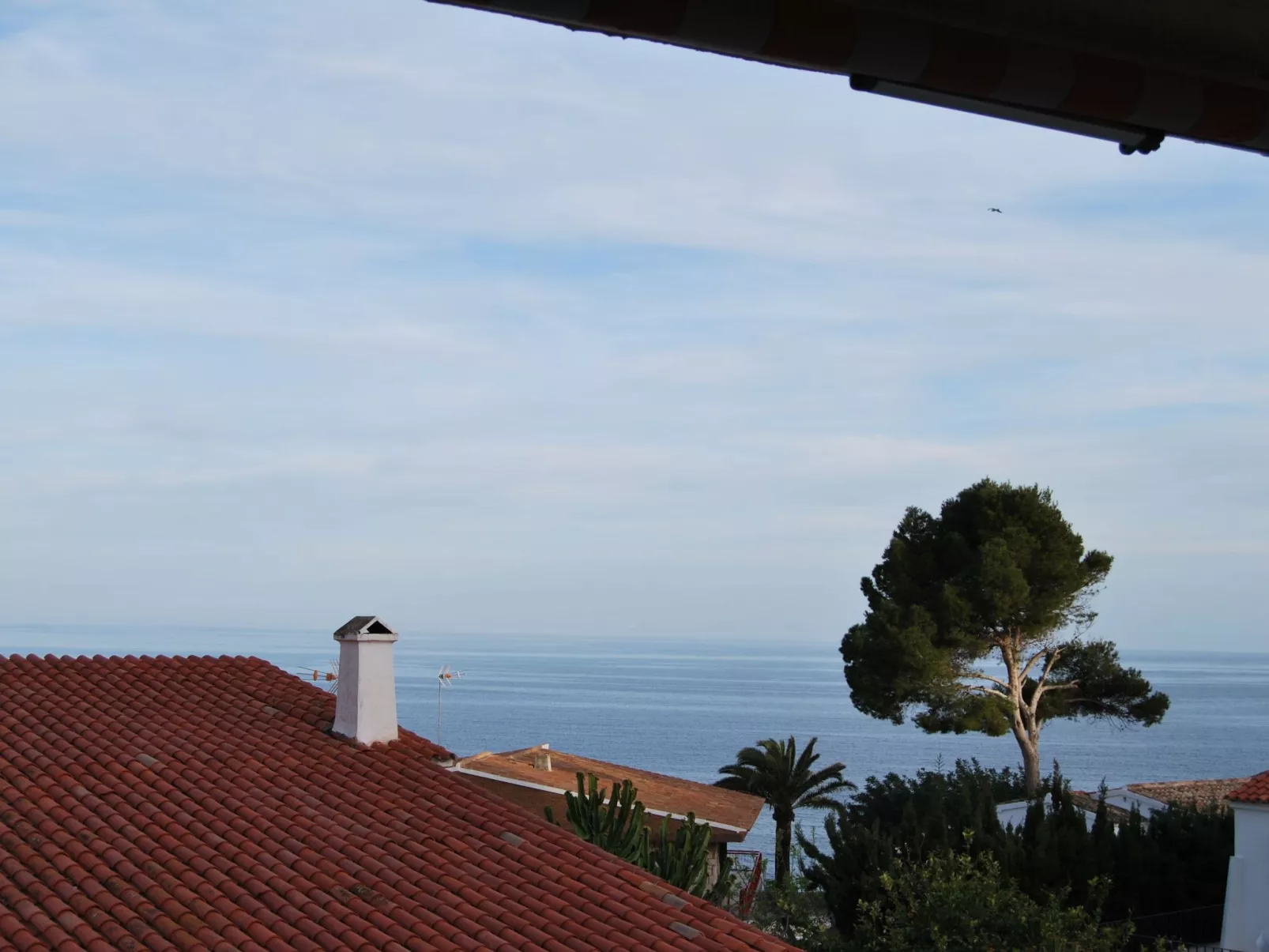 Fabiola mit toller Aussicht-Dehors