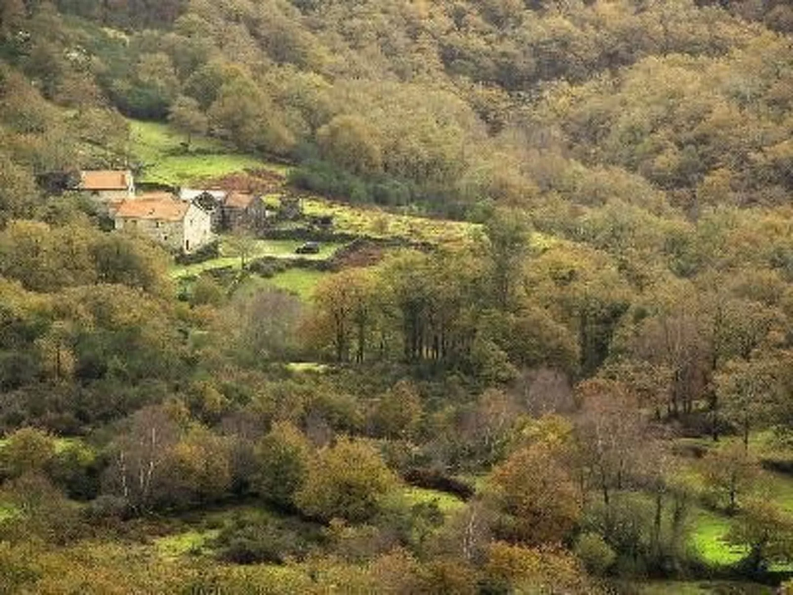 Finca "Casa do Portomartiño"-Outside