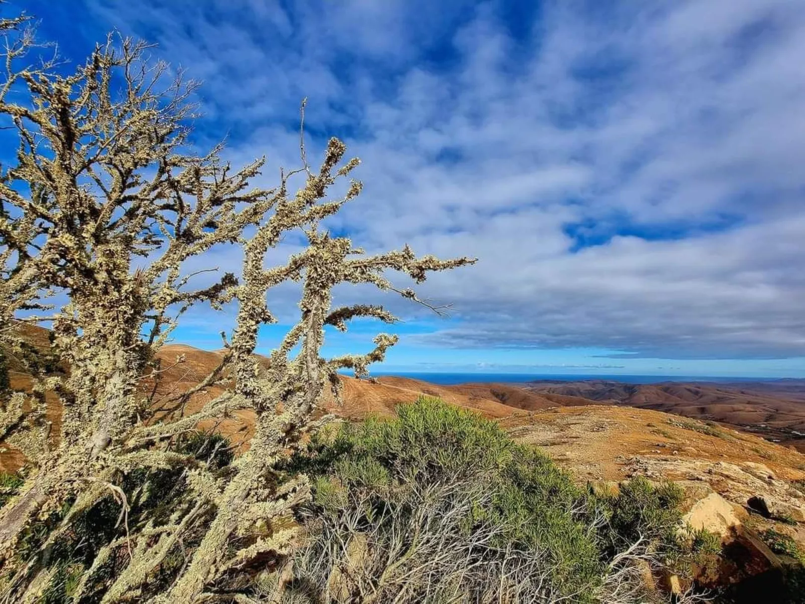 Duplex Casa Maya Caleta de Fuste-Outside