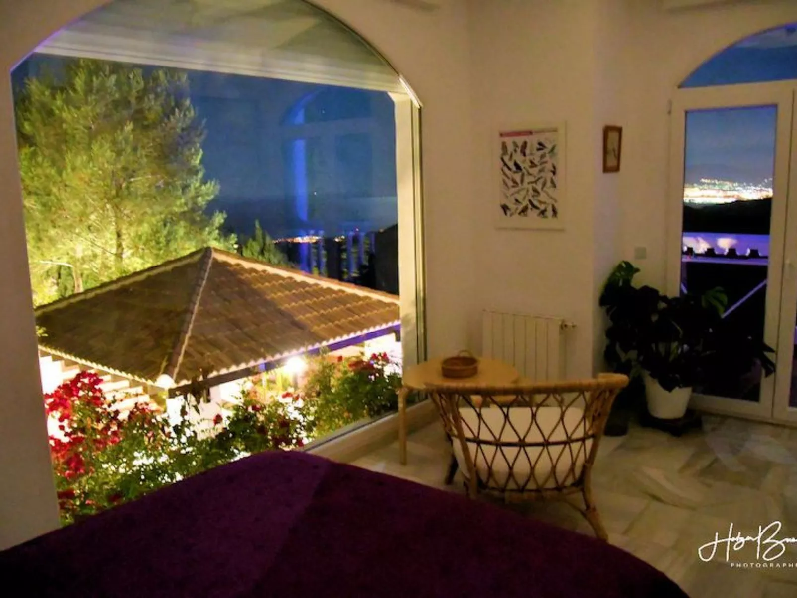 Villa Axarquia-Dedans