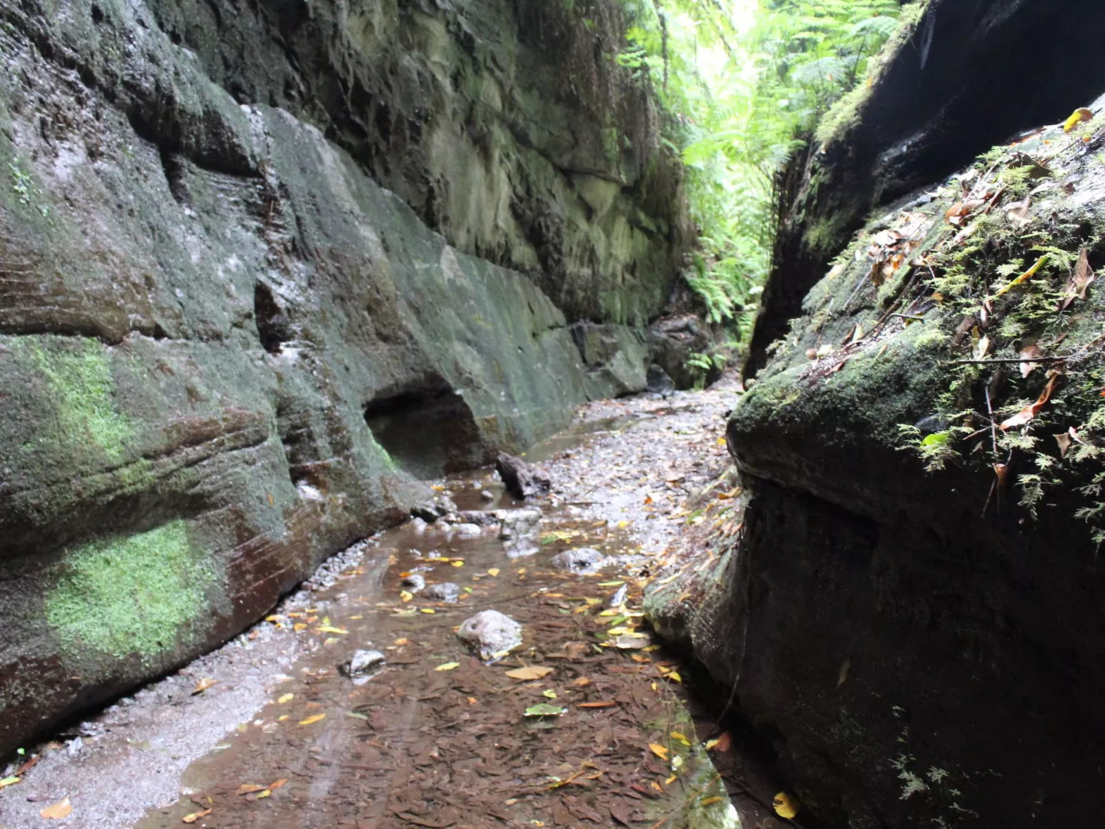 Haus La Majada-Image-tags.info