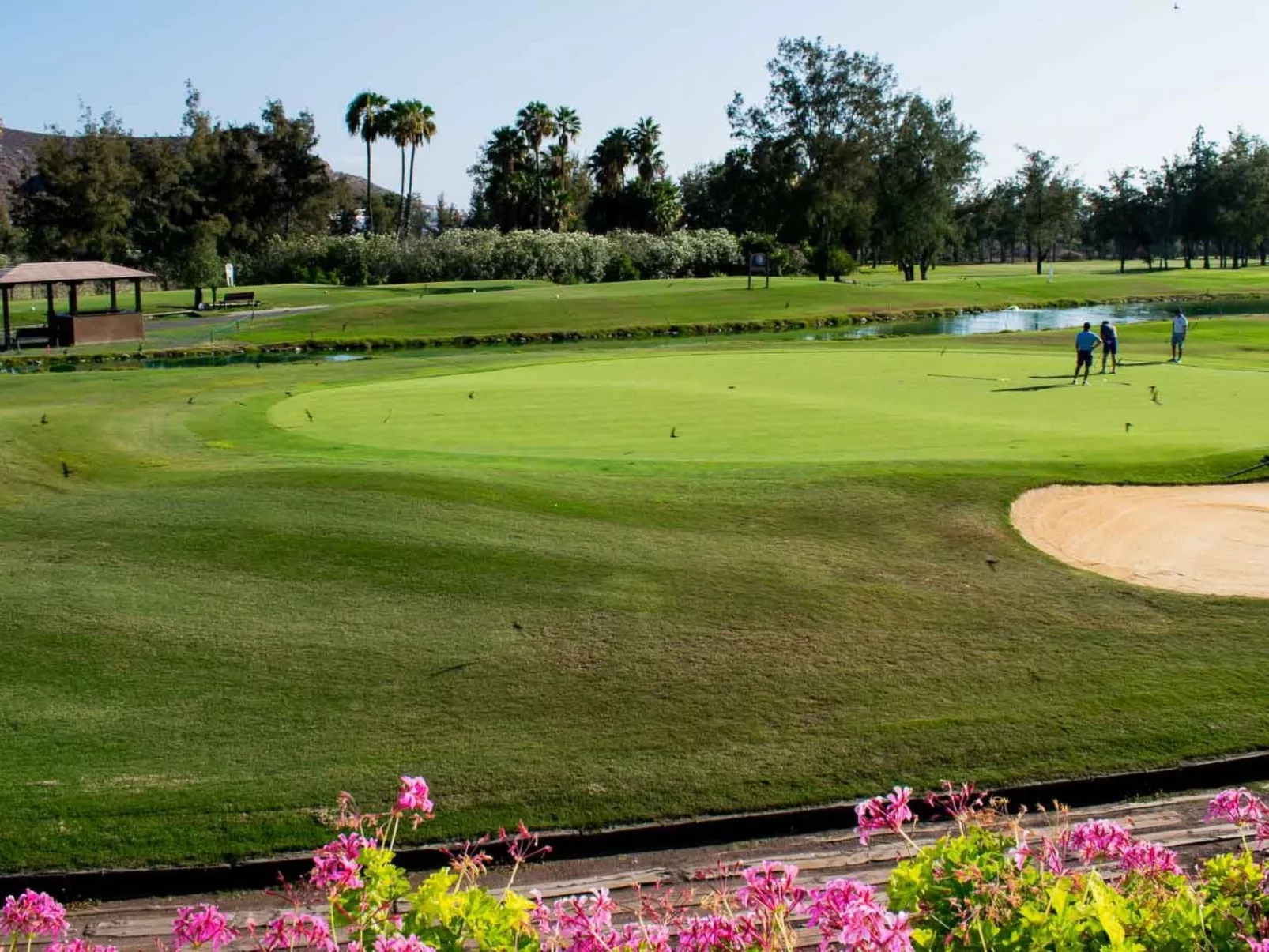 Apartment Vistamar 3 in Chayofa - Image-tags.info