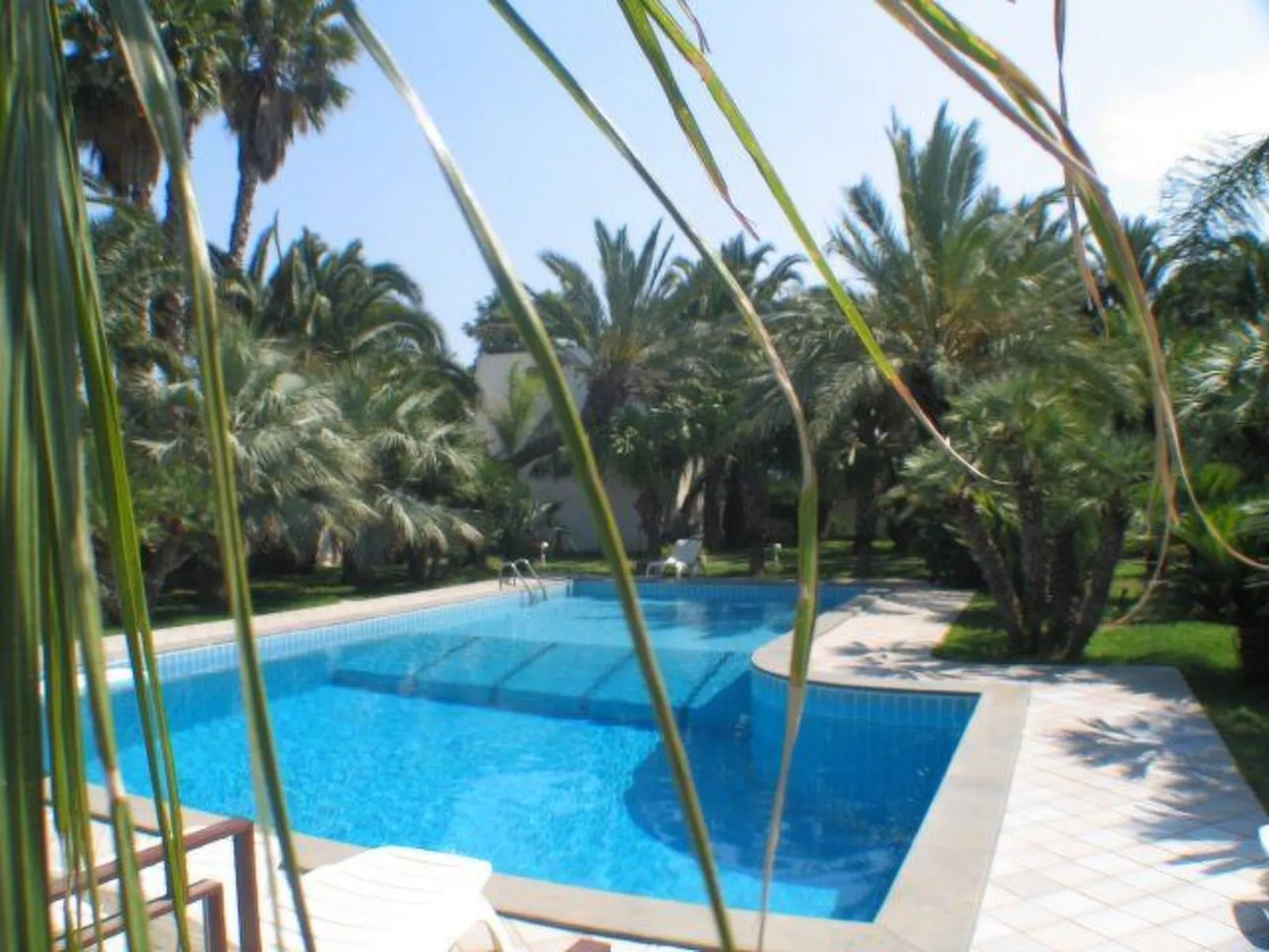 Cuore di Palme Bilo-Outside