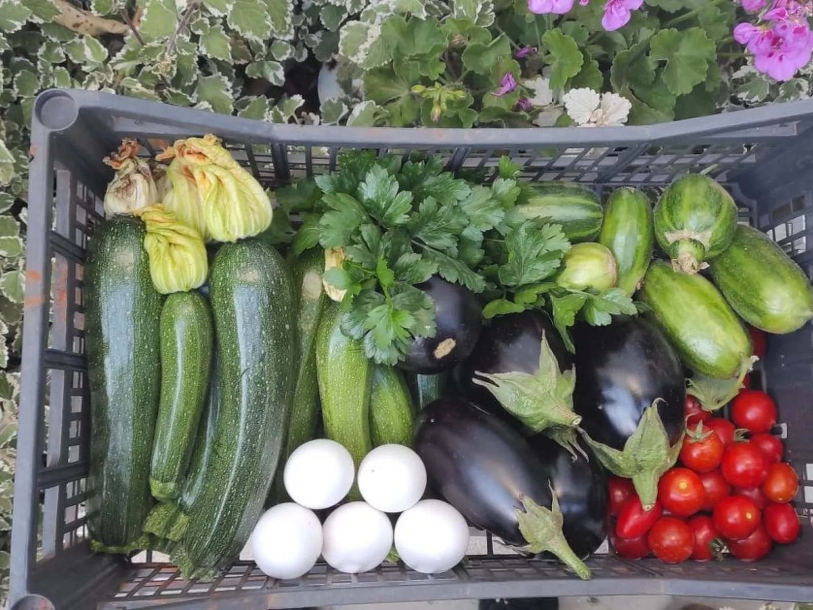 Villa Barone Landhaus mit Pool-Image-tags.info