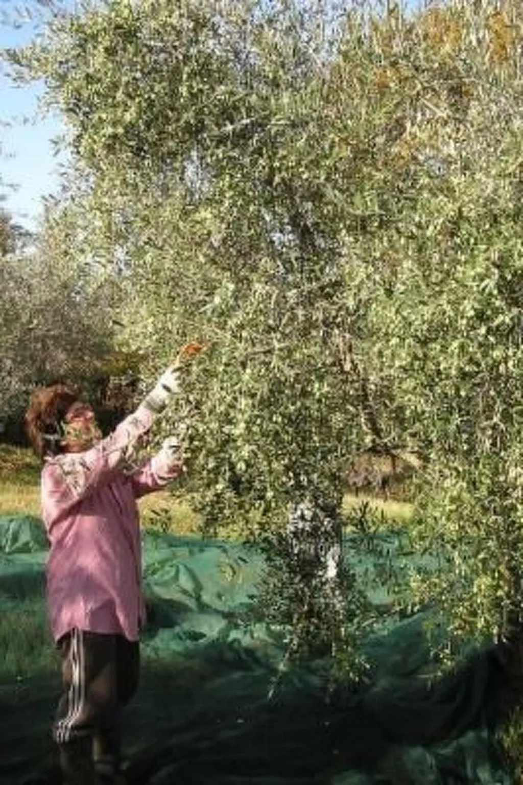 Ihr Zuhause in der Ferne - Draußen