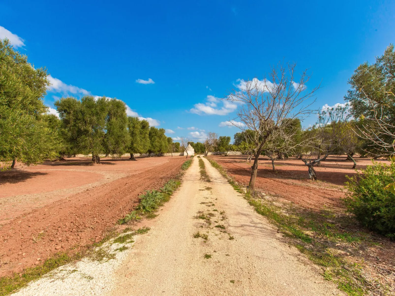 TRULLO  mit pool OSTUNI: Kostenlos: Bettwäsche und Handtücher, 2 Fahrräder, 1 H-Draußen