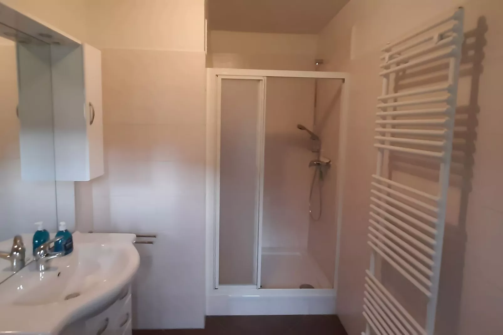 Ferienapartment Afrika in Wildemann Harz-Bathroom