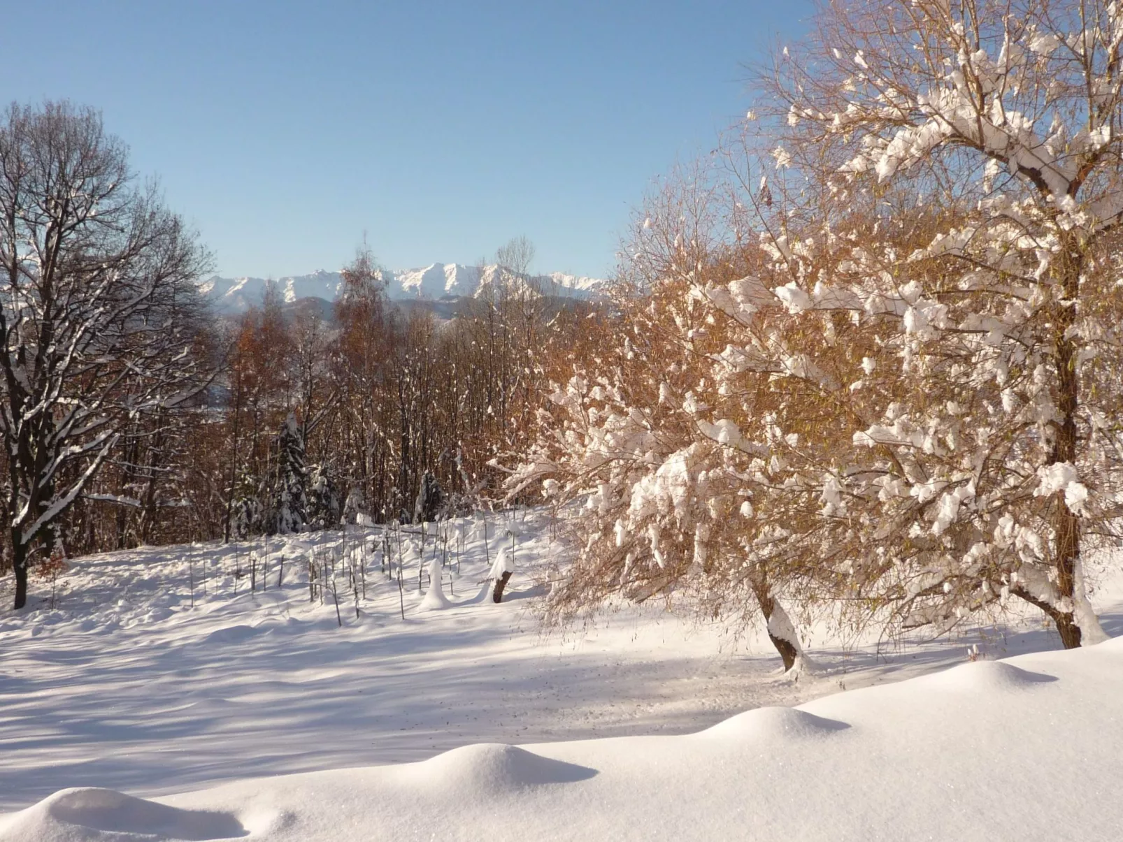Casa Bella Vista-Dehors
