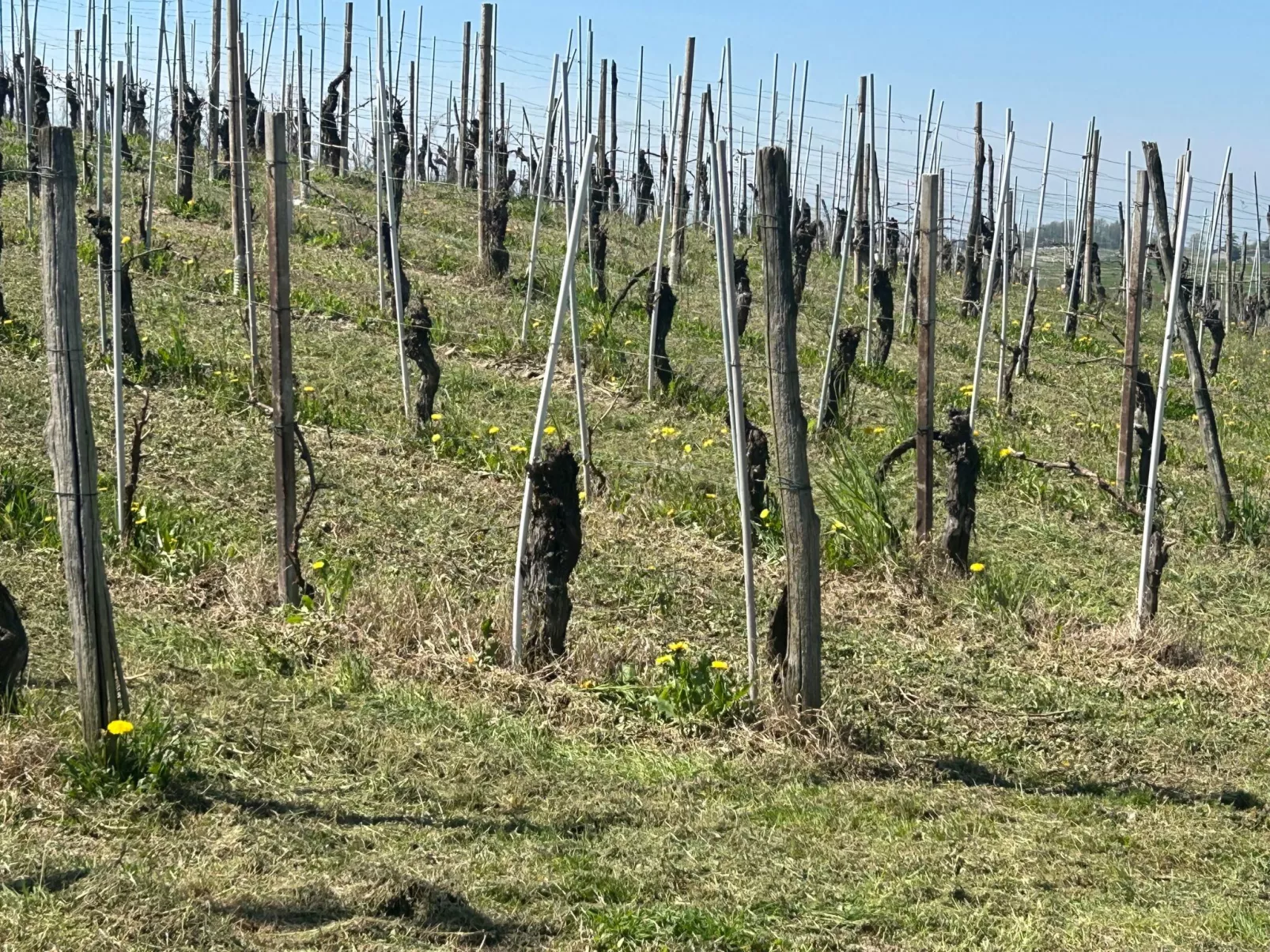 Casa il Cuore delle Langhe bei Holiday World-Image-tags.info