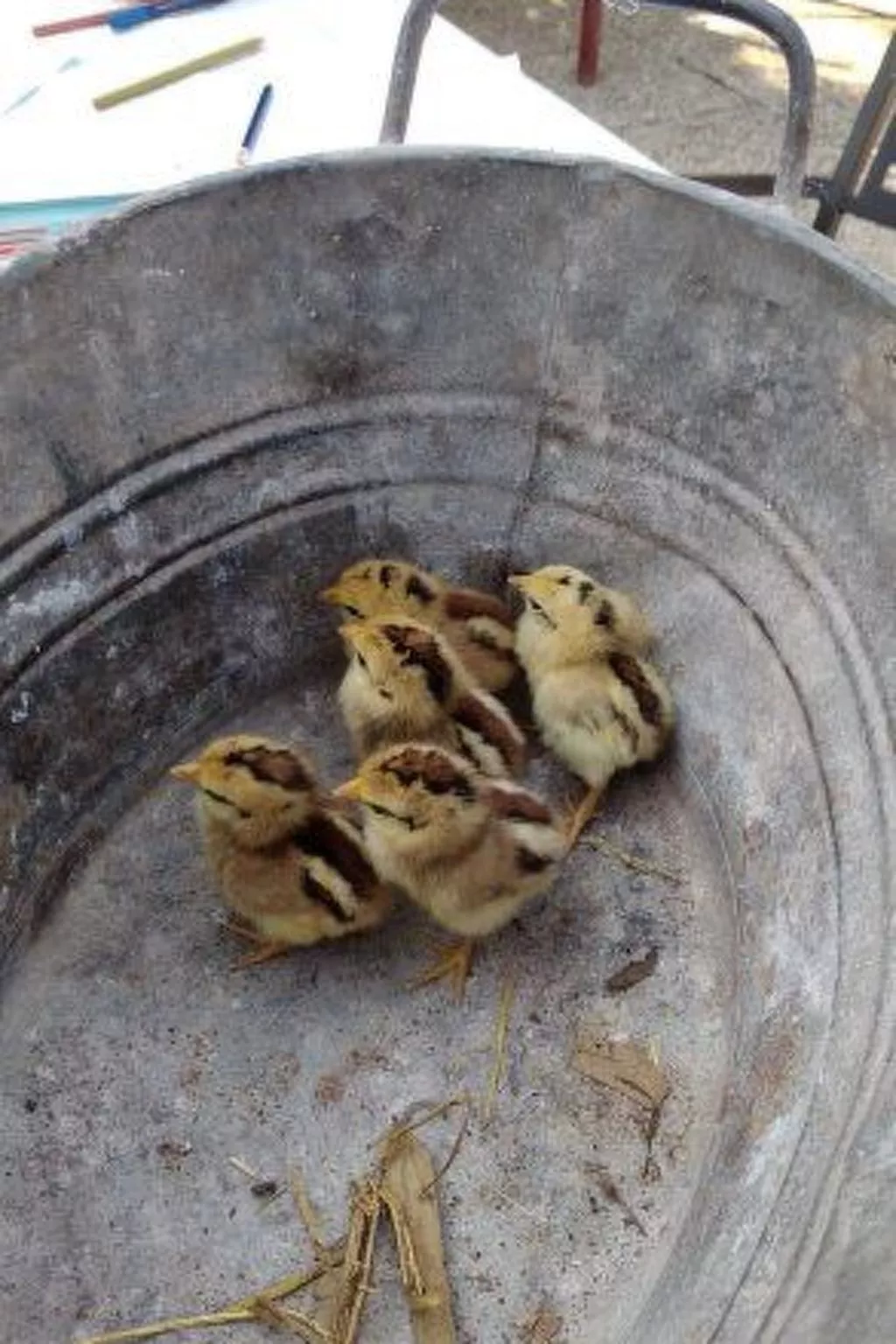 Das Landgut "Corte Canale Virgilio" mit Balkon-Image-tags.info