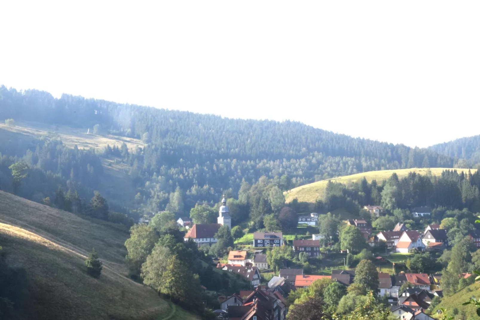 Ferienapartment Frosch in Wildemann Harz-Areas summer 1km