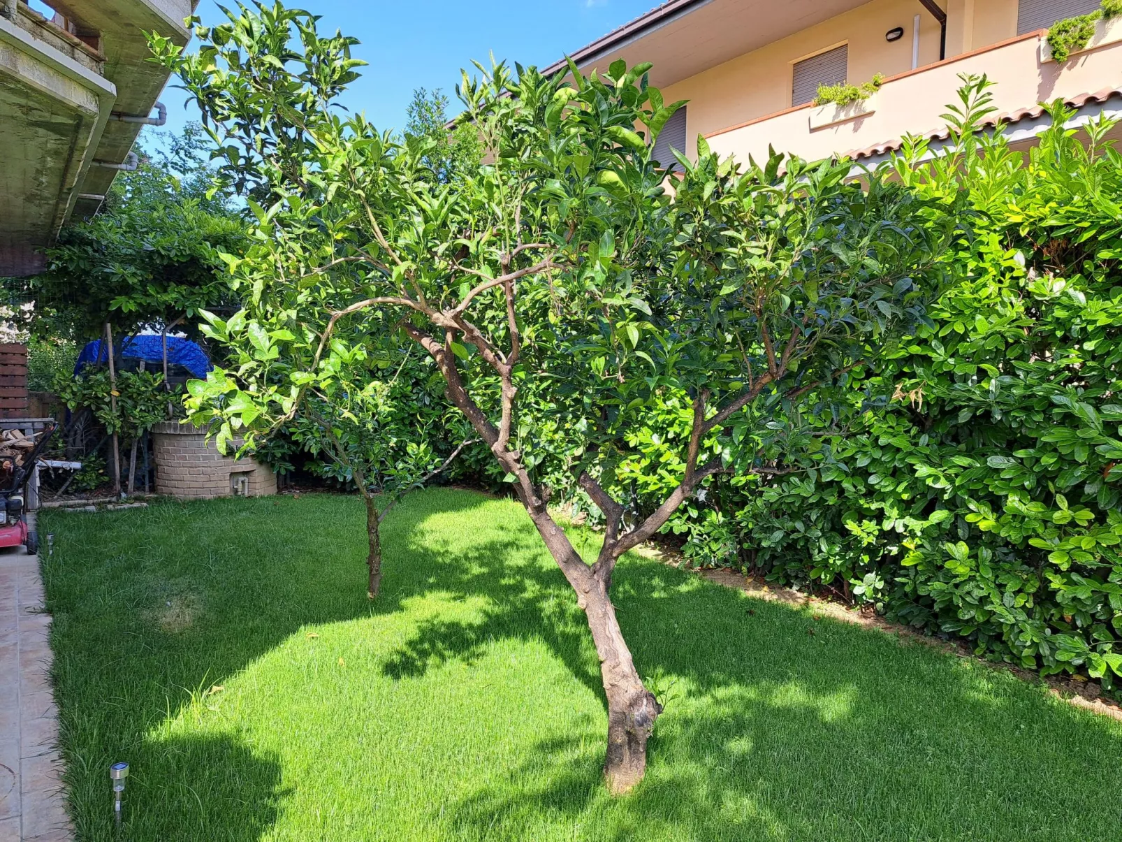 "Daphne Experience".-Outside