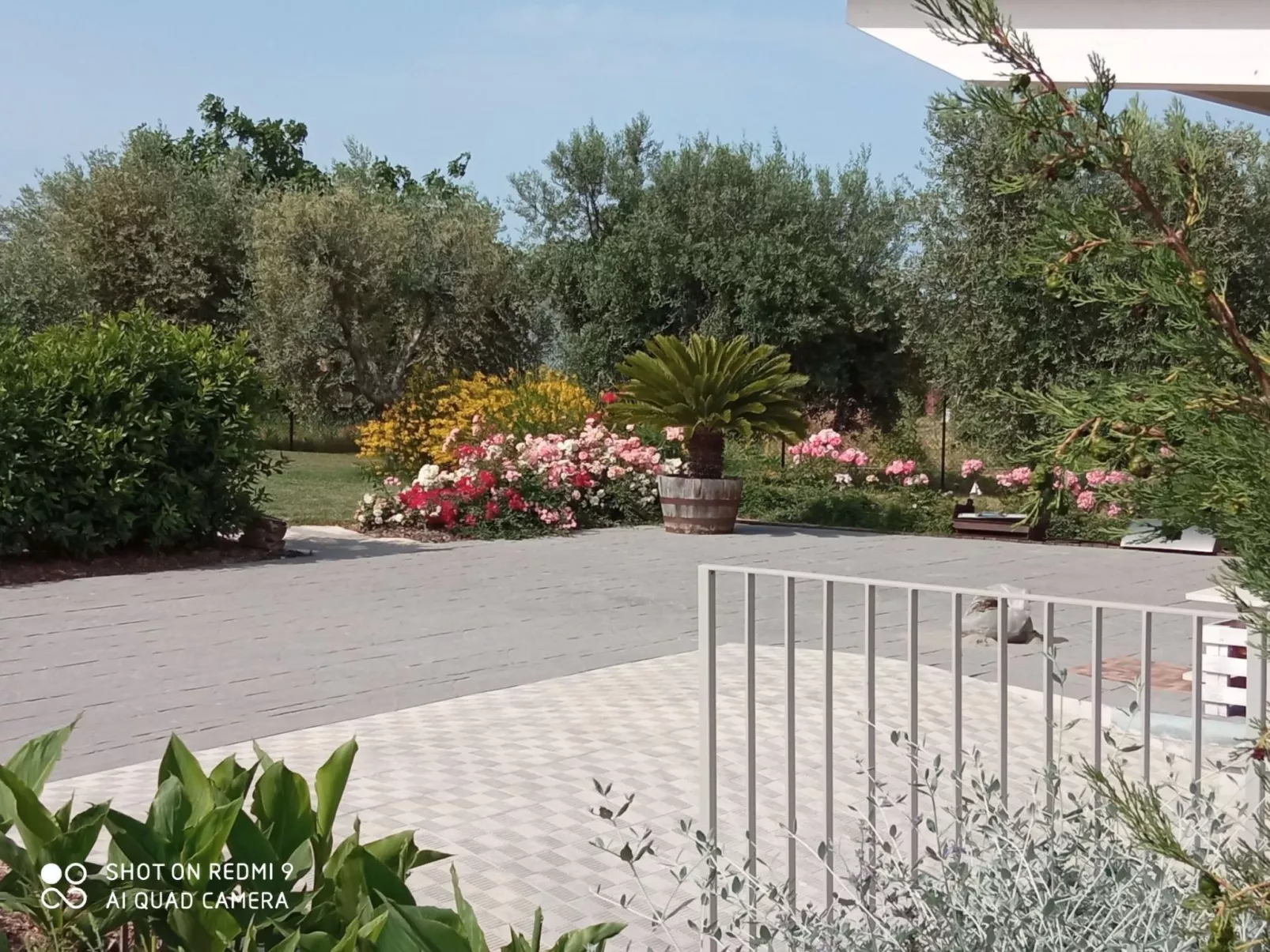 Villa mit privatem Pool in der Nähe der adriatischen Strände-Dehors