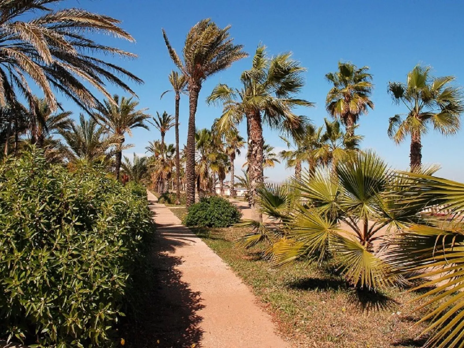 ADELFAS II - 11-Image-tags.info