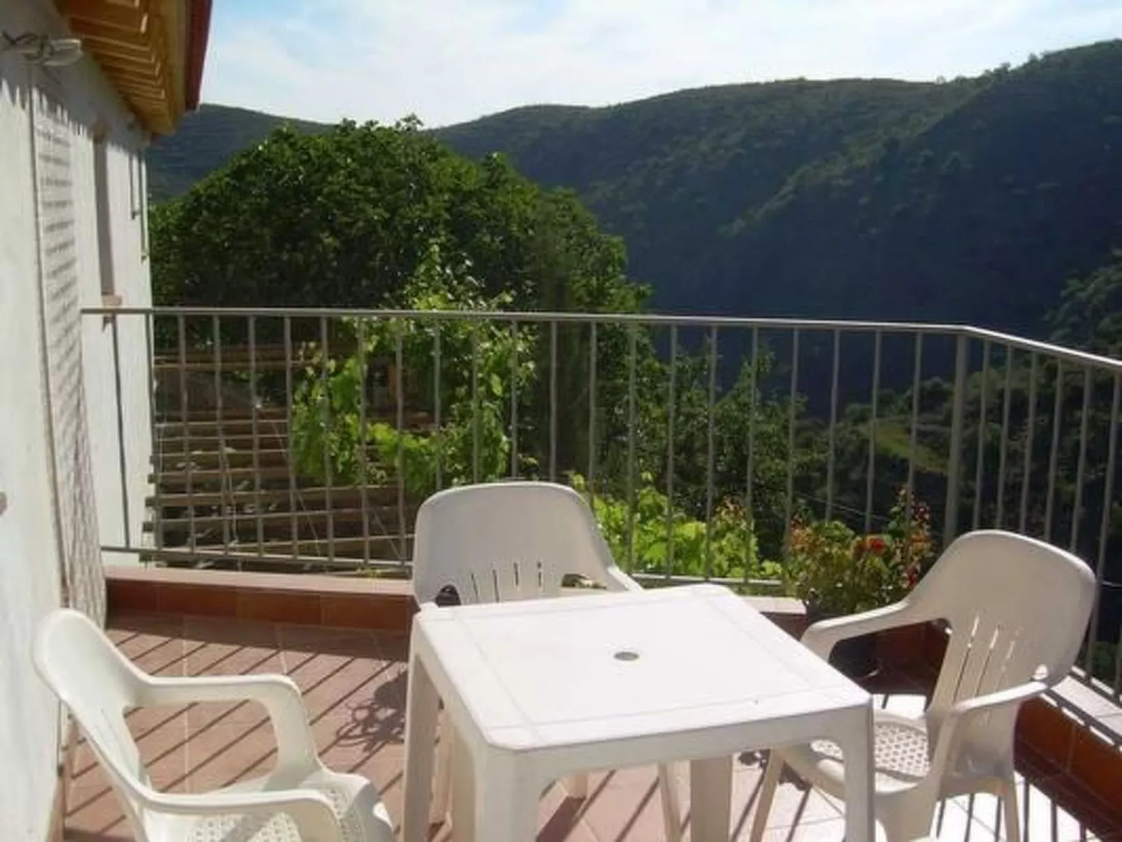 Tenguerengue-Image-tags.info