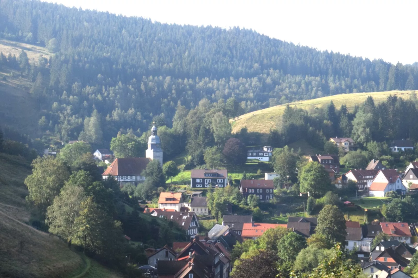 Ferienapartment Romatik in Wildemann Harz-Areas summer 1km