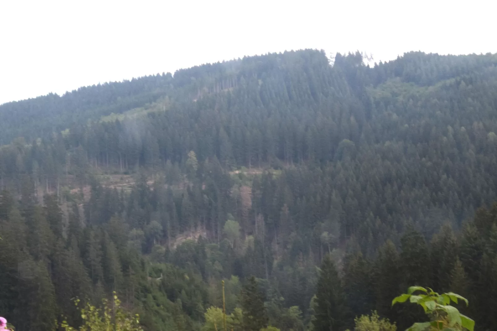 Ferienapartment Romatik in Wildemann Harz-Areas summer 1km
