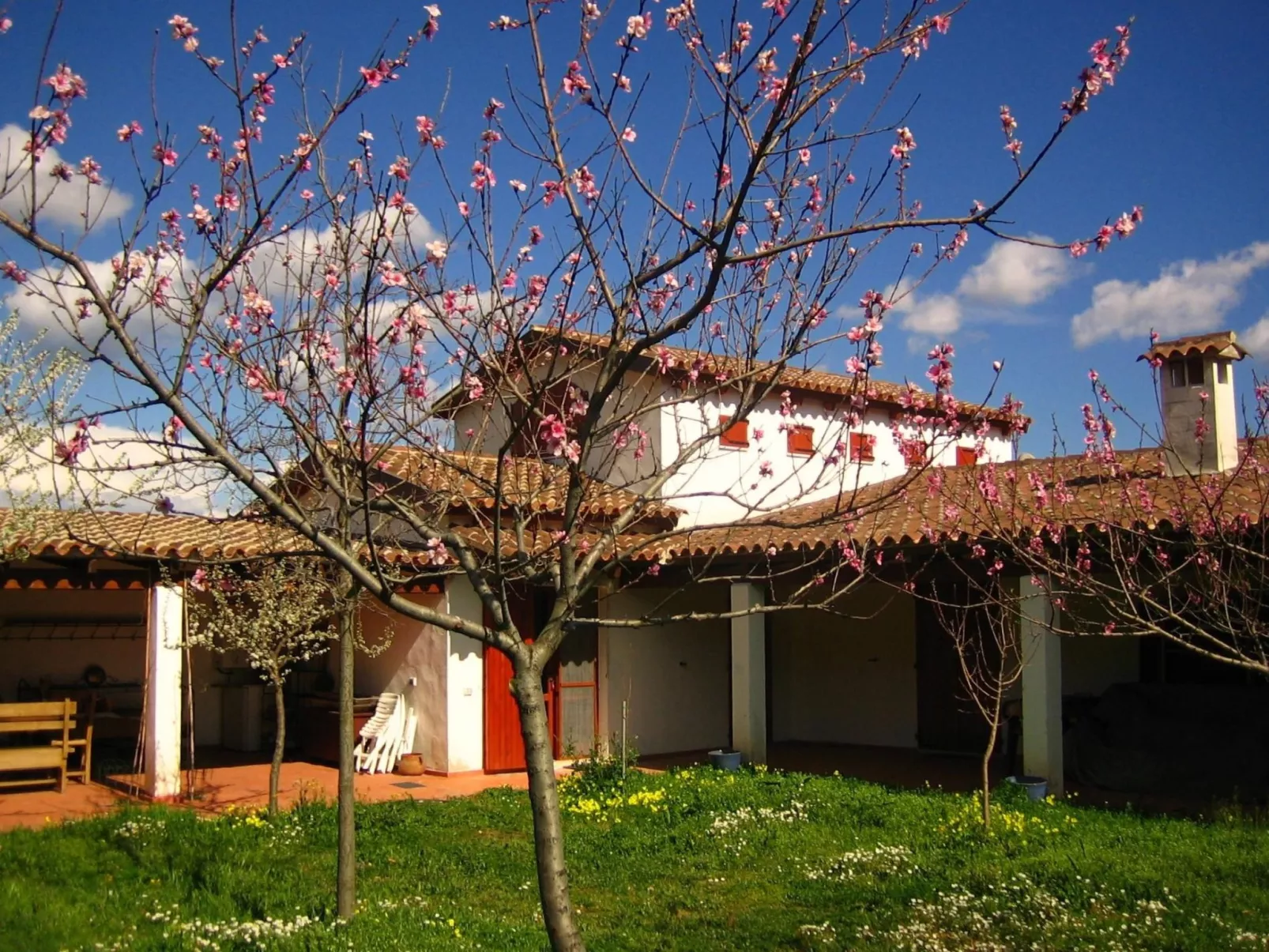 Natur, ökologische Nachhaltigkeit, nur für Erwachsene, Meer in der Nähe-Image-tags.info