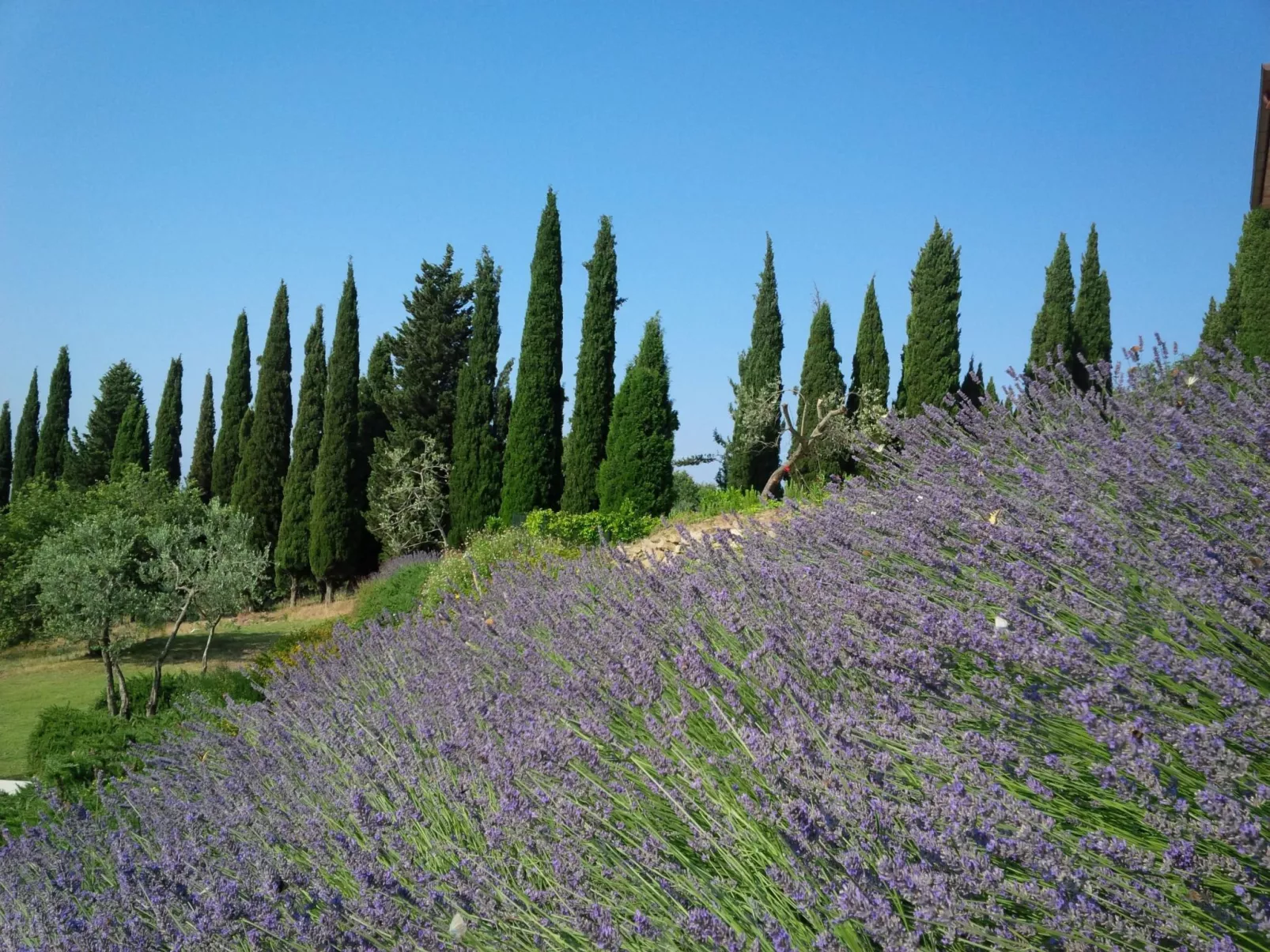 'La Torre' mit Terrasse-Outside
