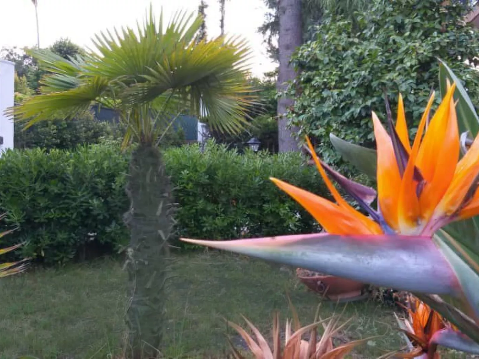 Sizilianisches Haus-Image-tags.info