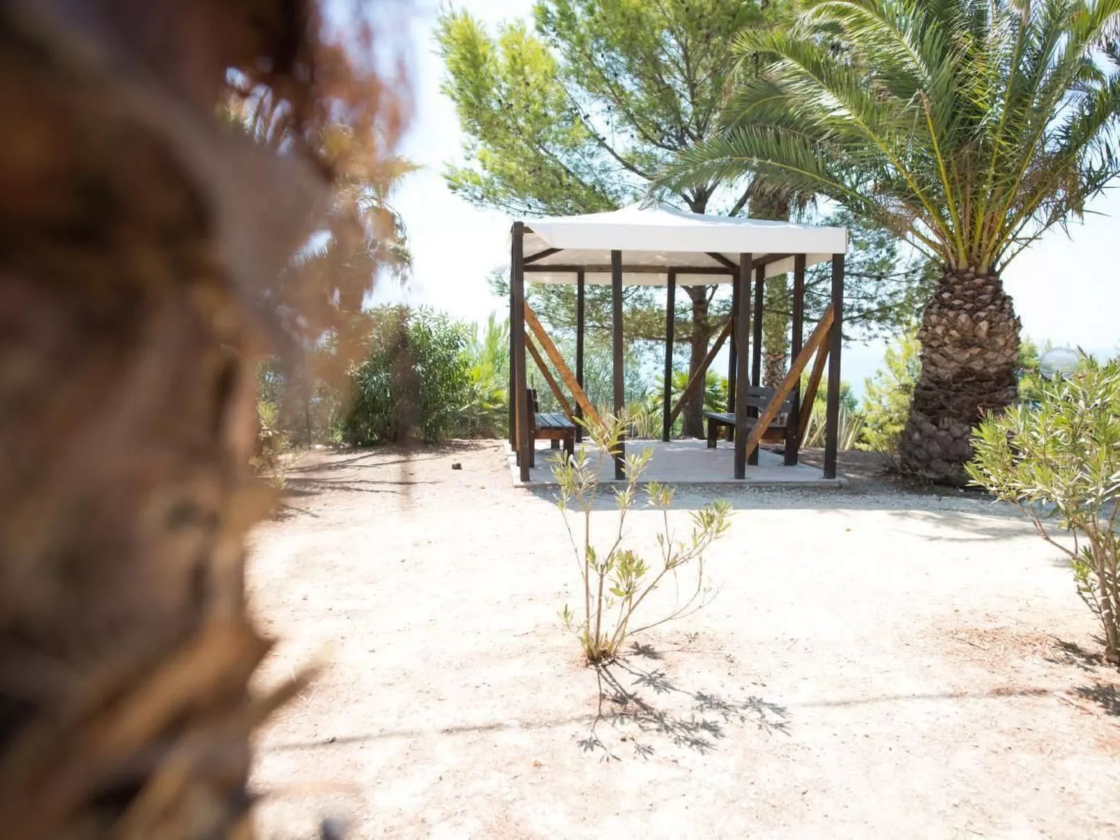 Wohnung in Sciacca mit Grill und Garten-Image-tags.info