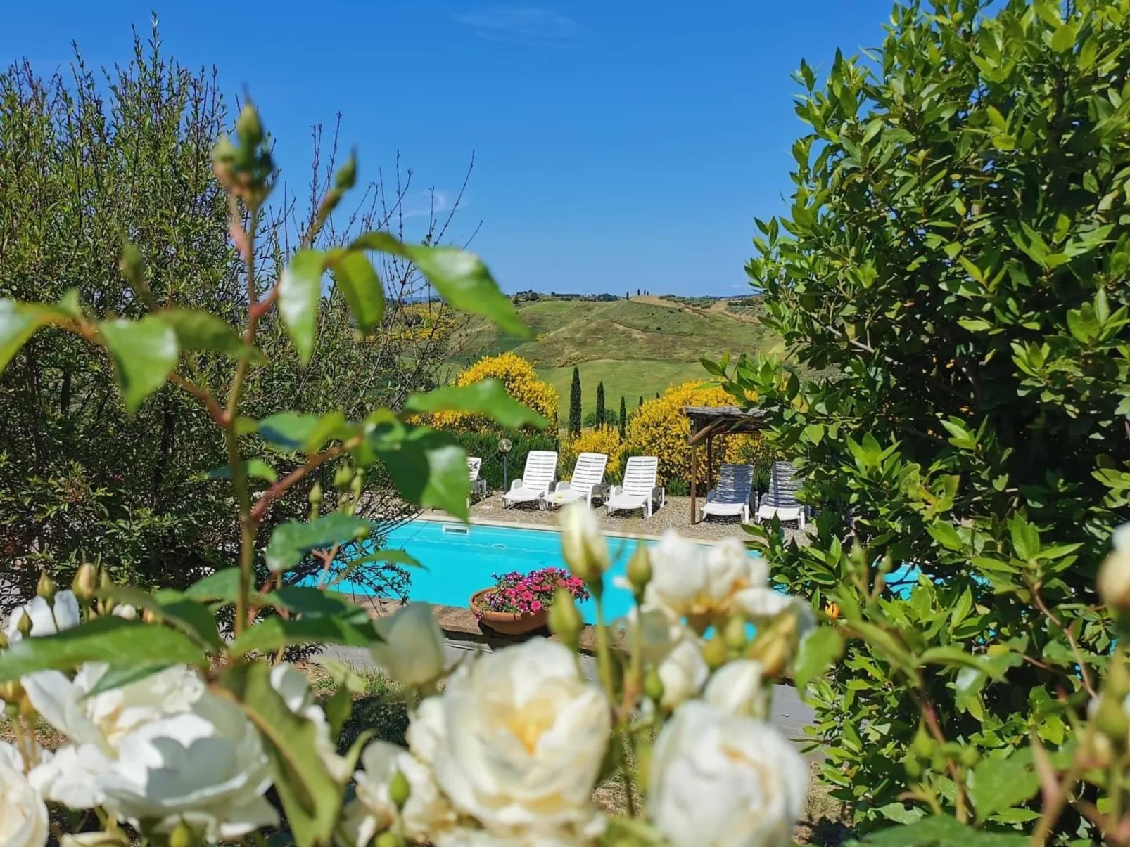 Vierblättriges Kleeblatt-Outside